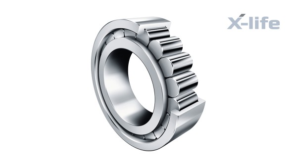 Schaeffler valivé a klzné ložiská: Valčekové ložiská bez klietky
